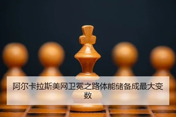 a-er-ka-la-si-mei-wang-wei-mian-zhi-lu-ti-neng-chu-bei-cheng-zui-da-bian-shu-2-425.jpg
