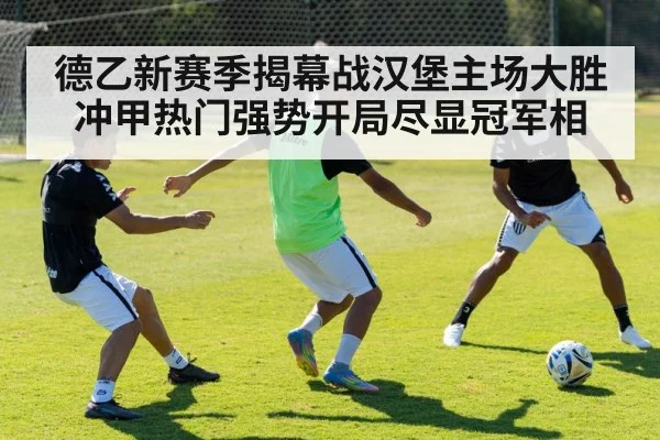 德乙新赛季揭幕战汉堡主场大胜冲甲热门强势开局尽显冠军相